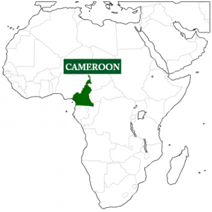 Volunteer in Cameroon